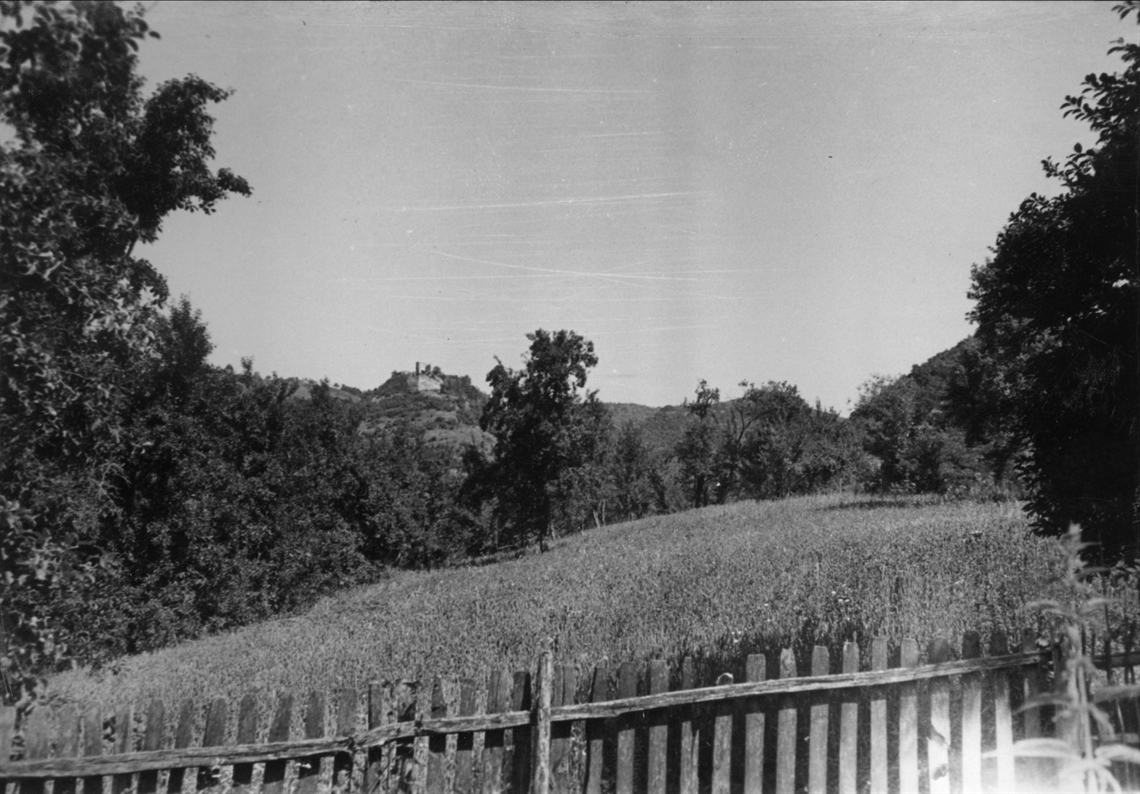 Image description